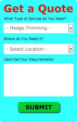 Hedge Cutting Quotes Hedge Cutting Quotes Blyth Northumberland NE24