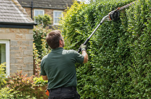 Local Barrhead Hedge Cutting Services G78