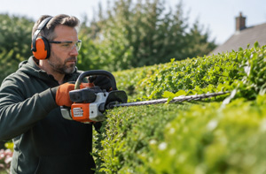Hedge Cutting Services Blyth Northumberland NE24