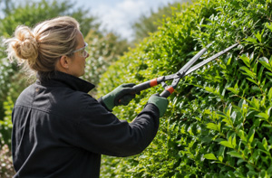 Hedge Cutting Services Greenock Scotland PA15
