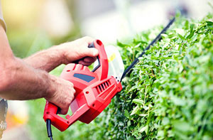 Local Hedge Cutting Wroughton (SN4)