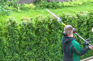 Hedge Trimming in Matlock