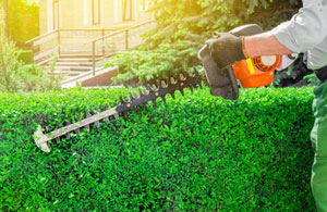 Local Hedge Cutting Blyth (NE24)